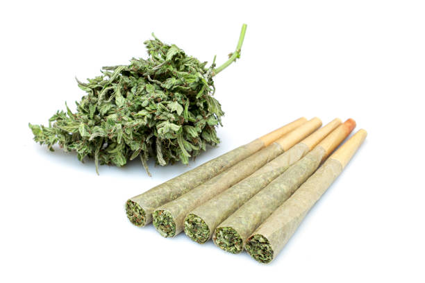 Rolled weed.